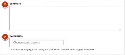 Screenshot of Summary input field and Categories autosuggest dropdown menu for taxonomy.